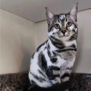 Meet your Posher, Jon